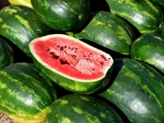 種植西瓜怎么施肥？基肥施不足會有什么后果？